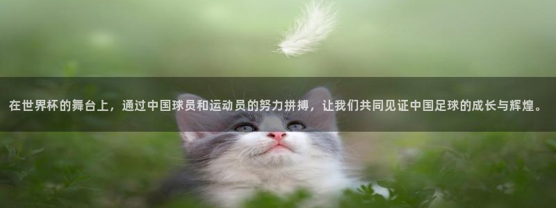 2026男足世界杯赛程:在世界杯的舞台上,通过中国球员和运动员的努力拼搏,让我们共同见证中国足球的成长与辉煌。