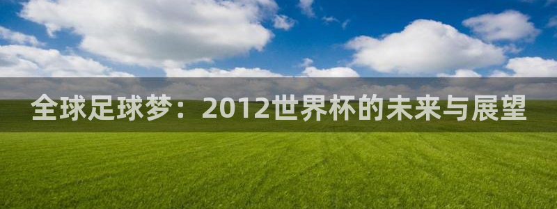 世界杯48支球队赛制:全球足球梦:2012世界杯的未来与展望