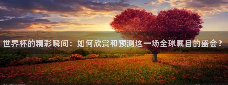 世界杯 赛程:世界杯的精彩瞬间:如何欣赏和预测这一场全球瞩目的盛会?