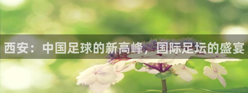 2026世界杯32强对阵图表:西安:中国足球的新高峰,国际足坛的盛宴