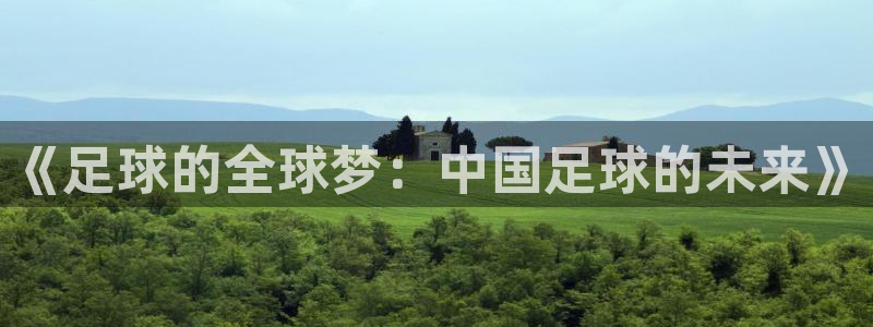 2006年世界杯冠军:《足球的全球梦:中国足球的未来》