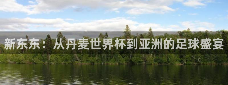 2026世界杯赛程:新东东:从丹麦世界杯到亚洲的足球盛宴