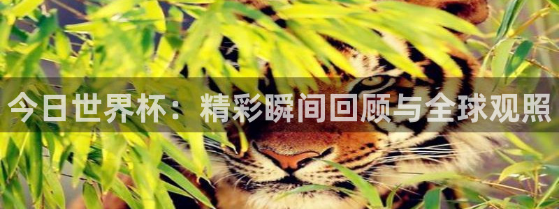 2026足球世界杯赛程时间表:今日世界杯:精彩瞬间回顾与全球观照